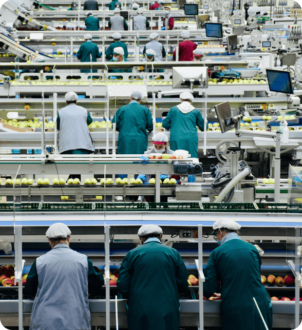 audit der digitalen reife kompetenzmanagement industrie